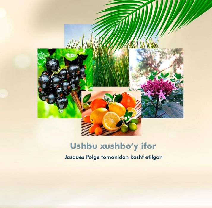 Atirlar iforiga 100%