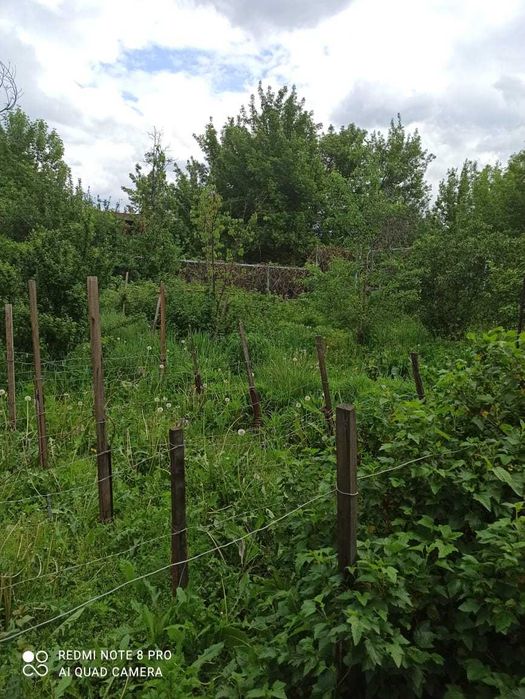 Продам дачу в Алматинской области