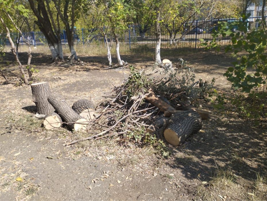 Продам дрова много