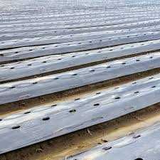 Folie mulcire alb negru 3 ani Israel 30x30 30 mic