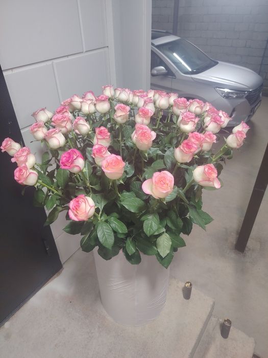 Свежие цветы продам