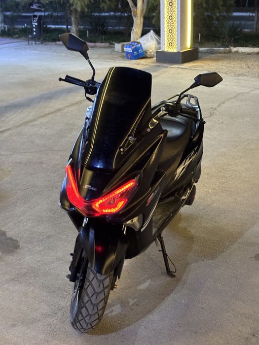 Tigr aybi yuq zur xolatda