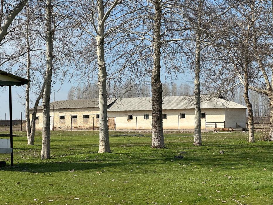 Ferma 7 gektar  ферма