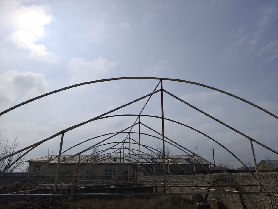 телица сотилади 2 сотих