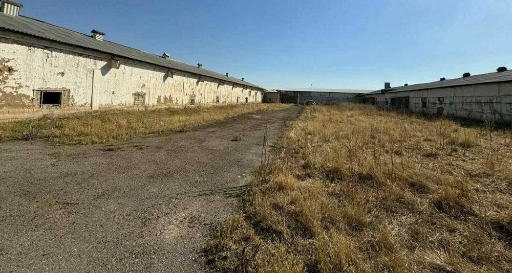 Продаётся  9 300 м² птицеферма.