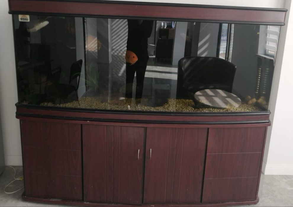 Продаётся аквариум в хорошем состоянии. Всё работает, трещин нет.