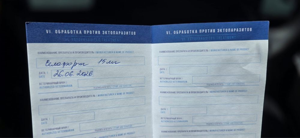 продаётся щенок