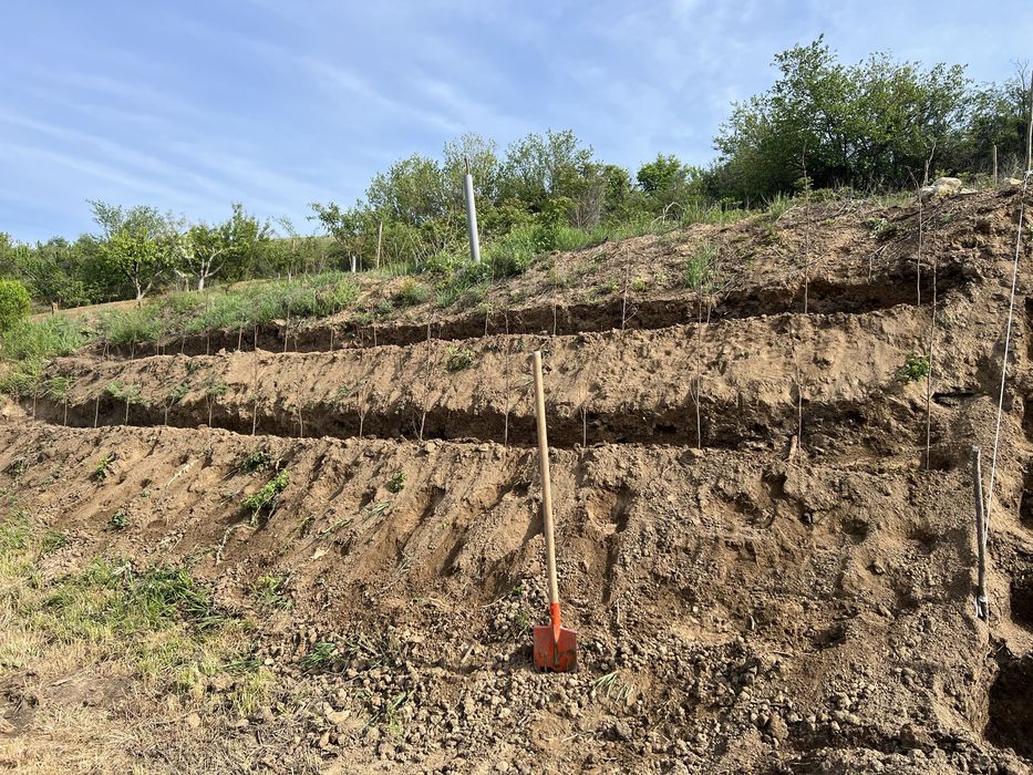 Празно дворно място