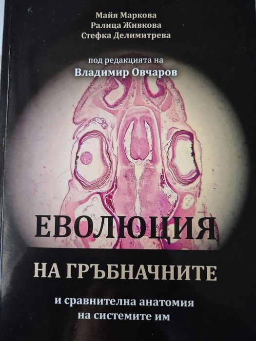 Еволюция на Гръбначните
