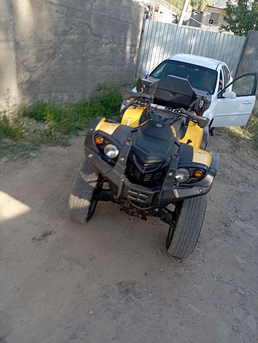 квадрацикыл  stels leopard 650