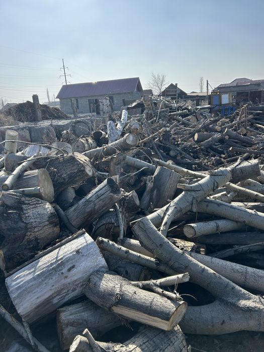 Продам дерево доставка бесплатно