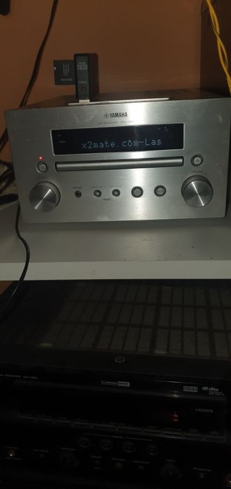 Sony Panasonic technics pioneer cat
