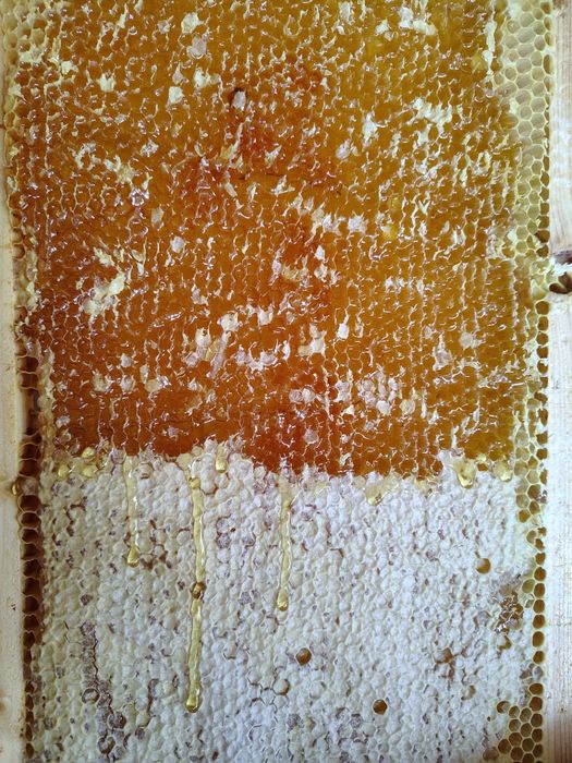 Miere naturala poliflora