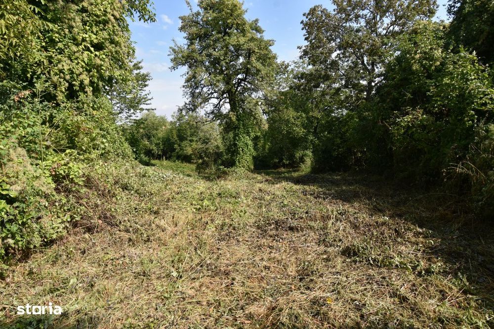 Casa demolabila in sat Gheorghieni (com Feleacu) teren 1547mp intravil