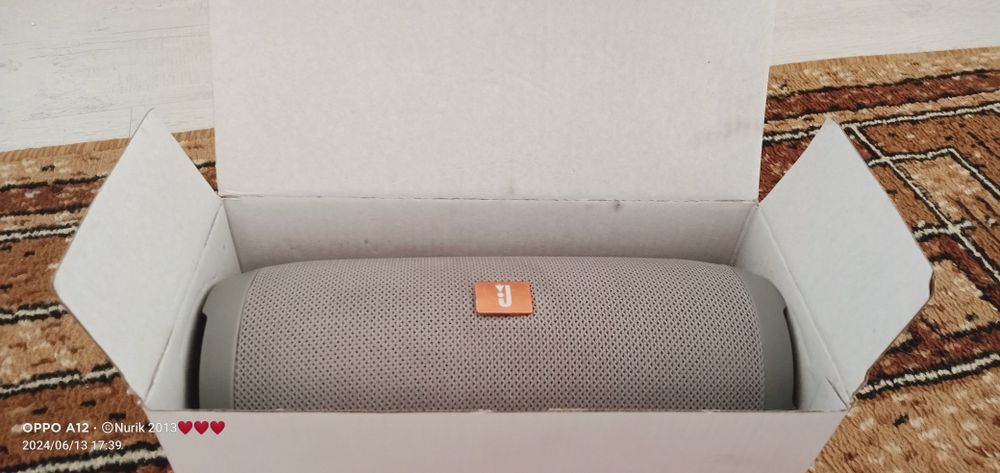 Калонка CHARGE 3