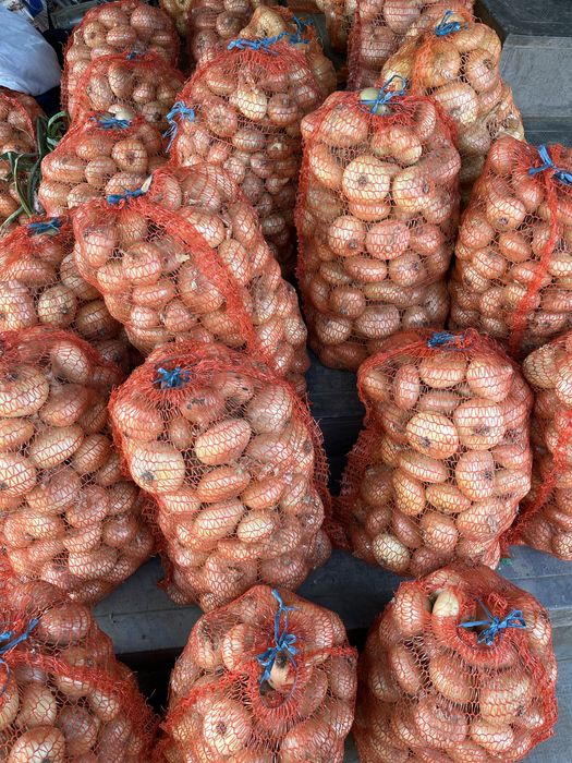 Ceapă albă din arpagic