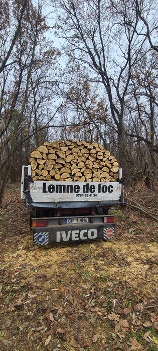 Lemne de Salcâm uscat 700Lei