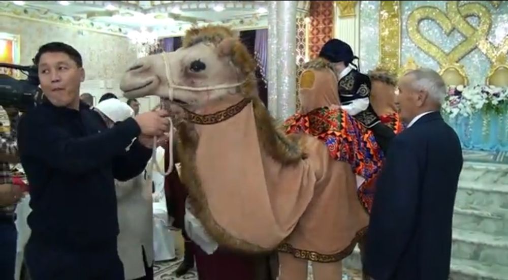 Продам, Керуен тойға арнайы!