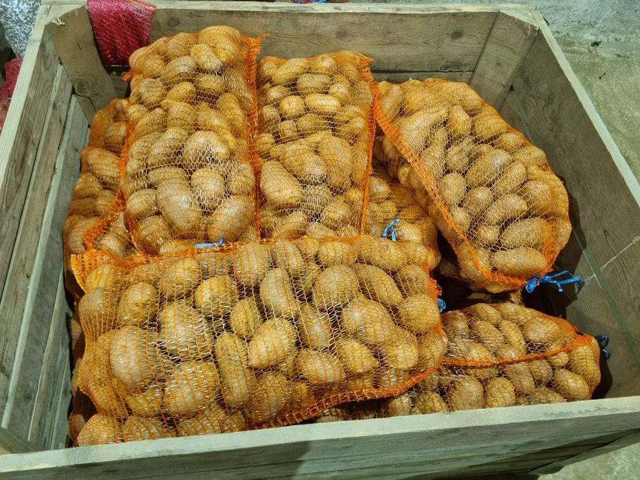 Cartof consum alb ultra Ro