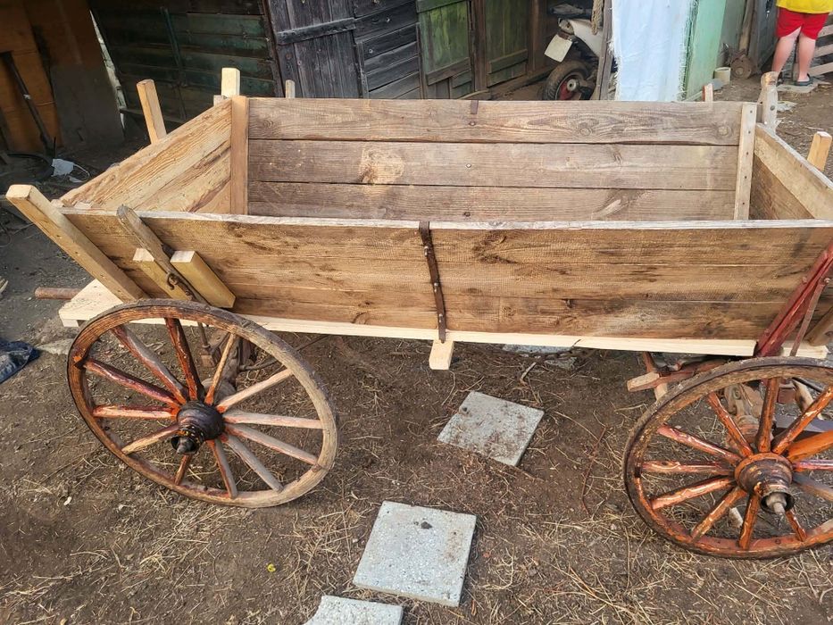 Тежковоз хафлингер година и два месеца