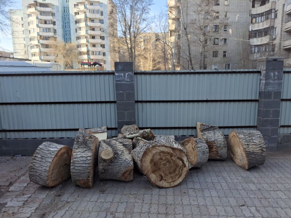 Отдам бревна бесплатно