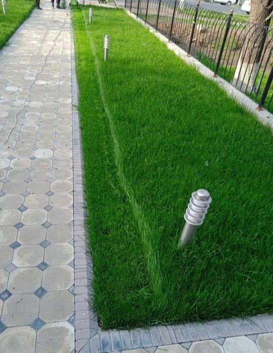 Поссев  бренд  газоны   Автопалив   поливная   система  Ландшафтный  д