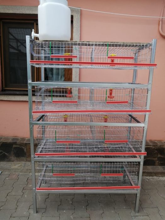 Rastele ptr creșterea prepelitelor complet  utilate