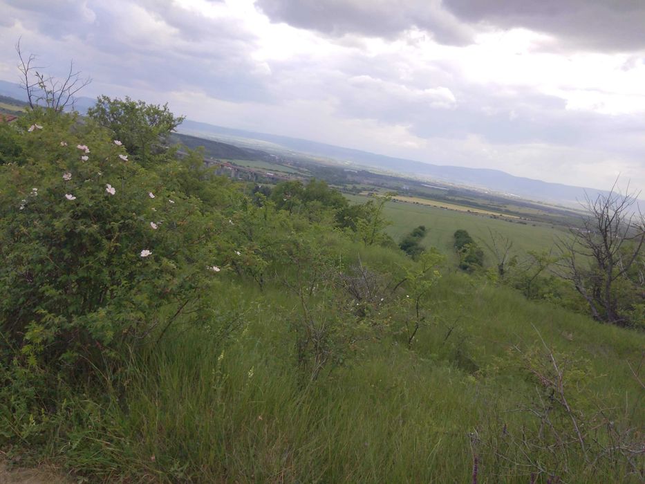 Продава се Къща в Елин Пелин - 40 кв.м за 1125 €/кв.м - Снимка #5