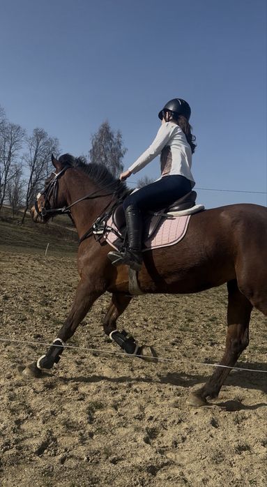 Vand cal de sport