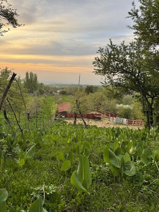 Участок земля  жер