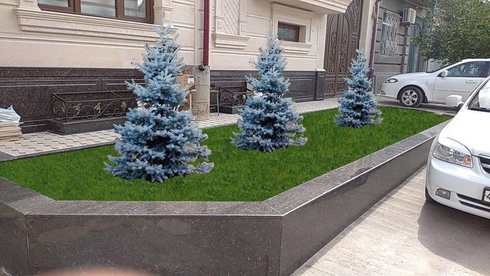 Gazon ekish kafolatli sfatli