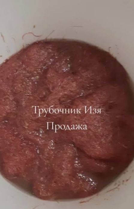 Продам Трубочник Изя
