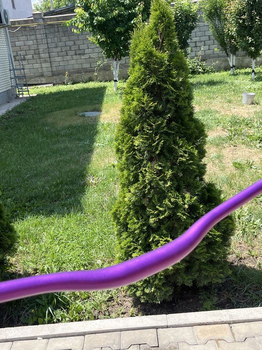 стант руль LUNJE