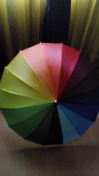 Готини чадъри /с прозрачни елементи/-18лв