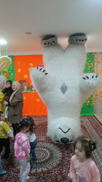 Ayiq tugilgan kun айик