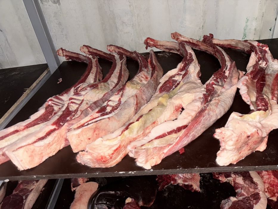 Согым продам . соғым сатылымда.Петерфельд