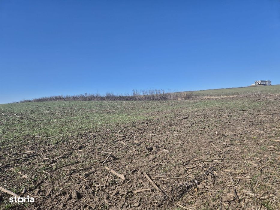 Teren Șcheia de vânzare