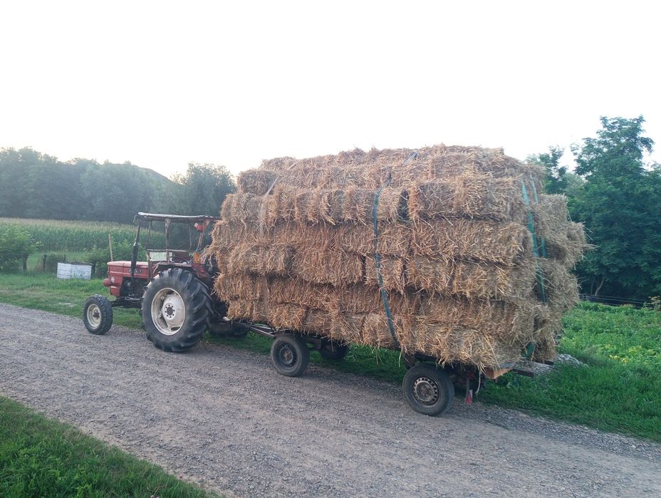 Baloți de paie  și lucerna