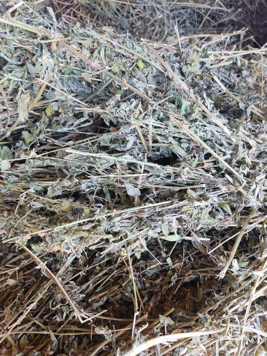 Baloți lucerna dreptunghiulari