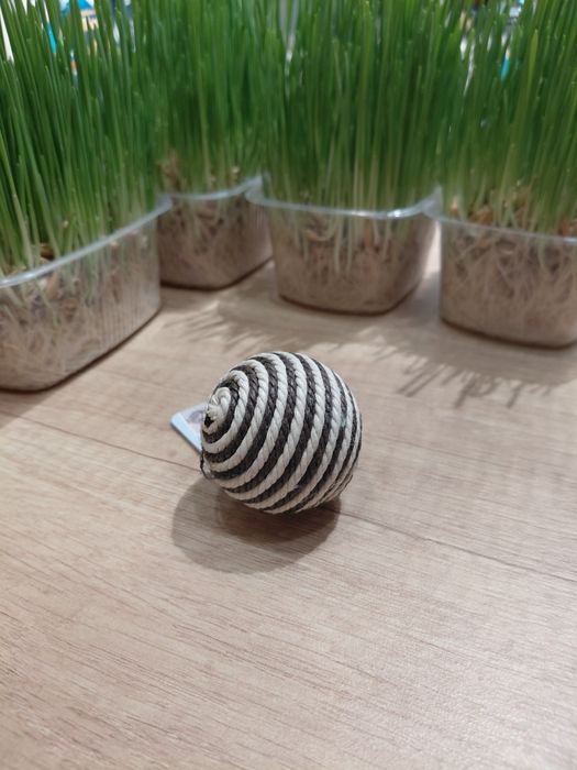 Игрушка для кошек, мяч "сизаль" с погремушкой