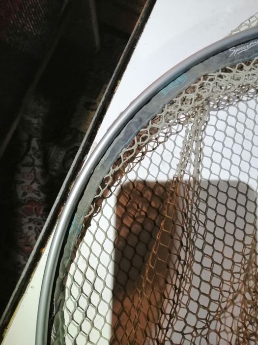 Кеп глава, гумирана, шаранджийска