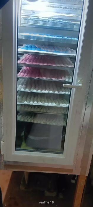 дегидратор (конвекционная сушильная камера) газ / электричество