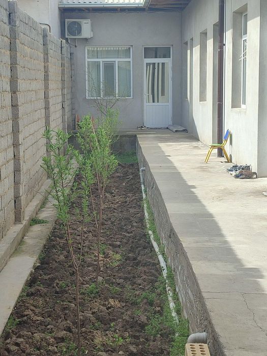 Сотувда участка, 2,44 сотих йер Хонободда