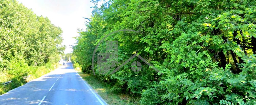 Продава се Парцел в к.к. Албена - 6270 кв.м за 40 €/кв.м - Снимка #4