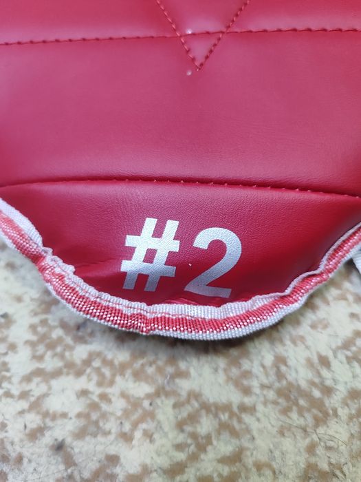 Протектор, нагрудник для таэквондо.