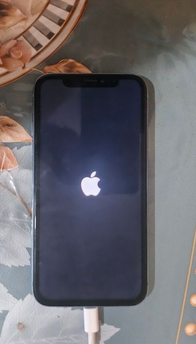 IPhone XR sotiladi