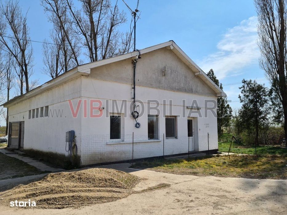 Ferma avicola populata, aparoape de Oradea
