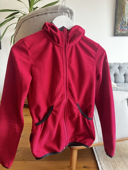 Полар зимен (планина)