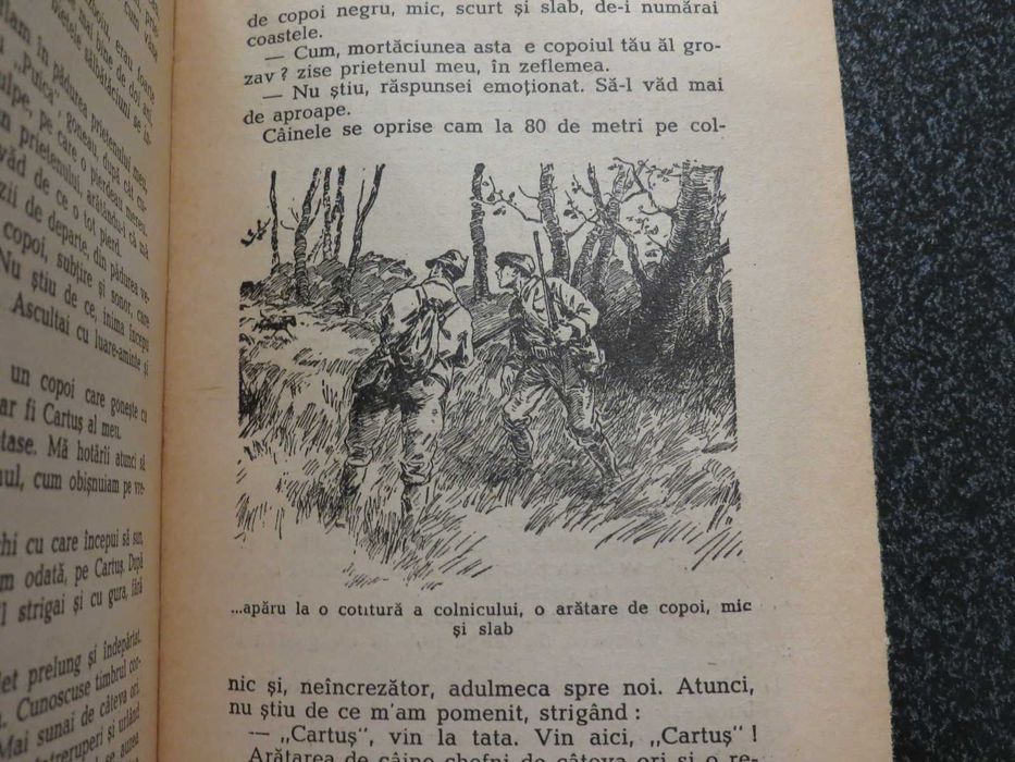Vedenii din moara parasita  George Scriosteanu  1941