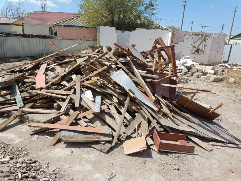 Қамыс камыш ағаштар тегін